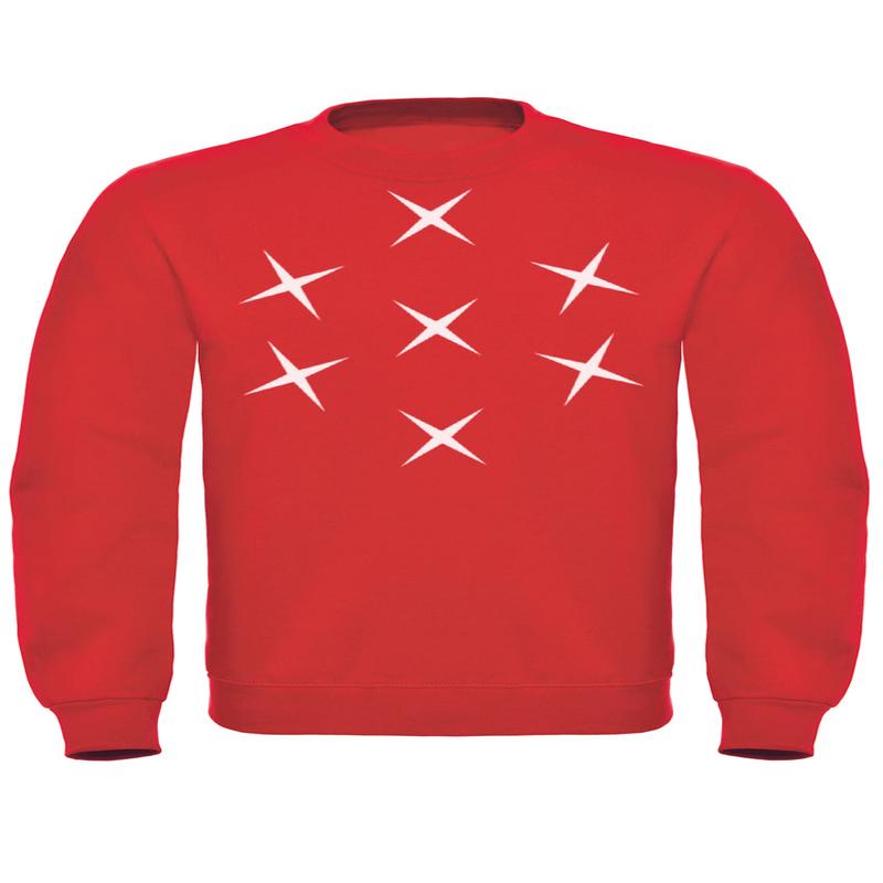 Schumacher World Titles Sweatshirt